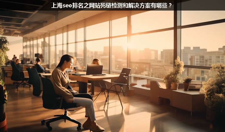 上海seo排名之網(wǎng)站死鏈檢測和解決方案有哪些？