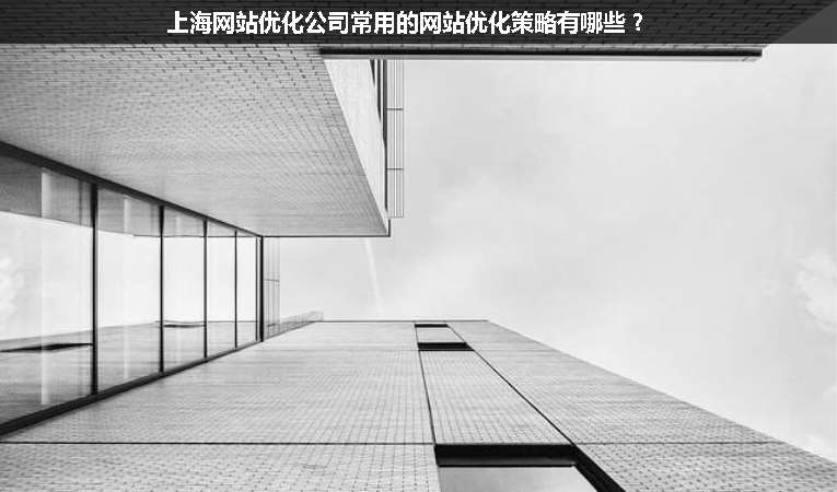 上海網(wǎng)站優(yōu)化公司常用的網(wǎng)站優(yōu)化策略有哪些？