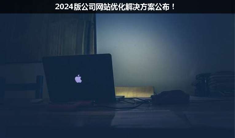 2024版公司網(wǎng)站優(yōu)化解決方案公布！