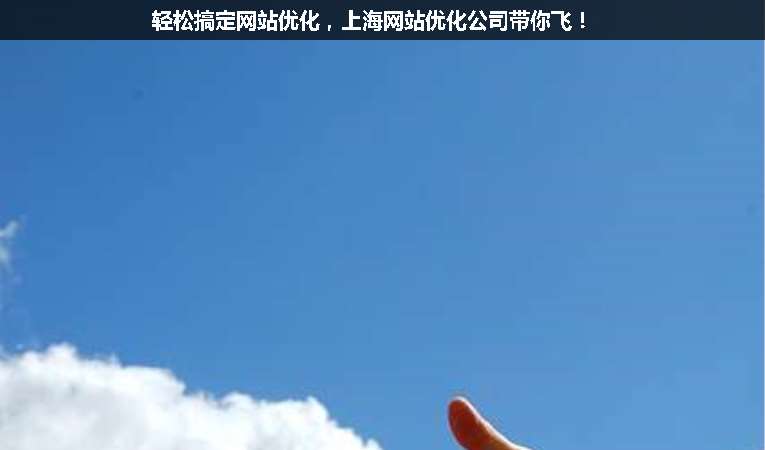 輕松搞定網(wǎng)站優(yōu)化，上海網(wǎng)站優(yōu)化公司帶你飛！