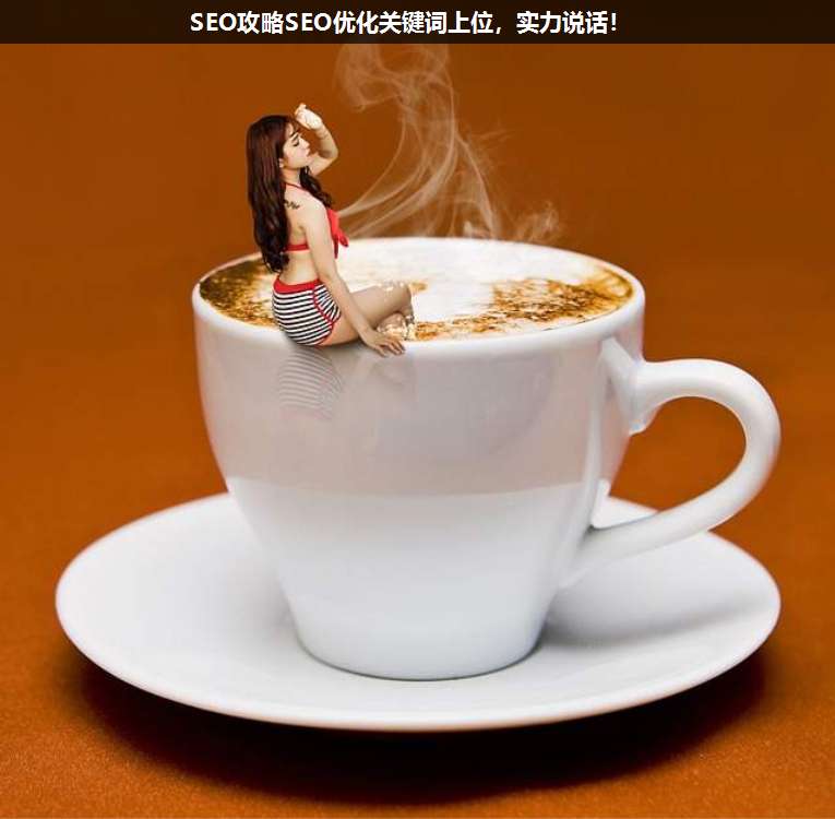 SEO攻略SEO優(yōu)化關(guān)鍵詞上位,實(shí)力說話!