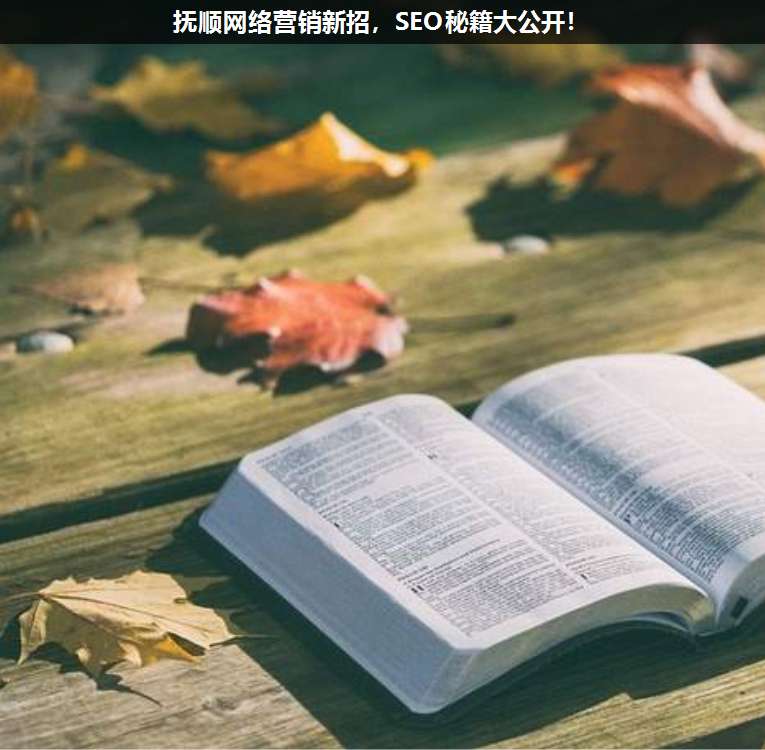 撫順網(wǎng)絡(luò)營(yíng)銷新招,SEO秘籍大公開!