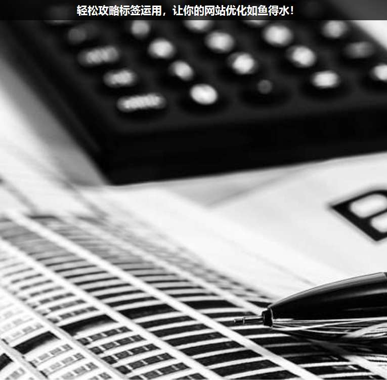 輕松攻略標簽運用,讓你的網(wǎng)站優(yōu)化如魚得水!