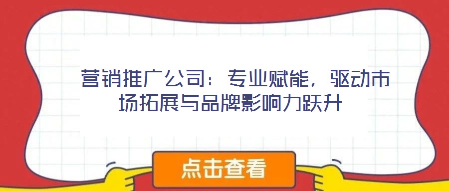  營銷推廣公司：專業(yè)賦能，驅(qū)動市場拓展與品牌影響力躍升