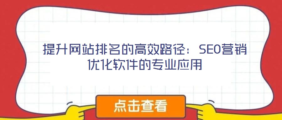 提升網(wǎng)站排名的高效路徑：SEO營(yíng)銷(xiāo)優(yōu)化軟件的專(zhuān)業(yè)應(yīng)用