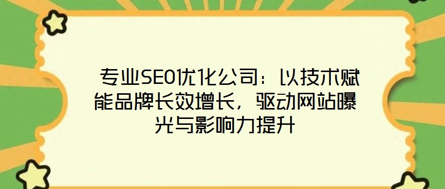  專業(yè)SEO優(yōu)化公司：以技術(shù)賦能品牌長效增長，驅(qū)動網(wǎng)站曝光與影響力提升