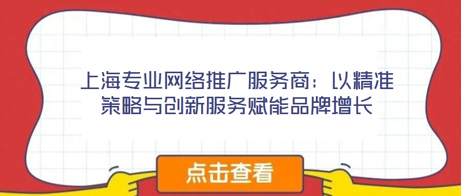 上海專業(yè)網(wǎng)絡(luò)推廣服務(wù)商：以精準(zhǔn)策略與創(chuàng)新服務(wù)賦能品牌增長
