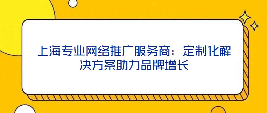 上海專業(yè)網(wǎng)絡(luò)推廣服務(wù)商：定制化解決方案助力品牌增長(zhǎng)
