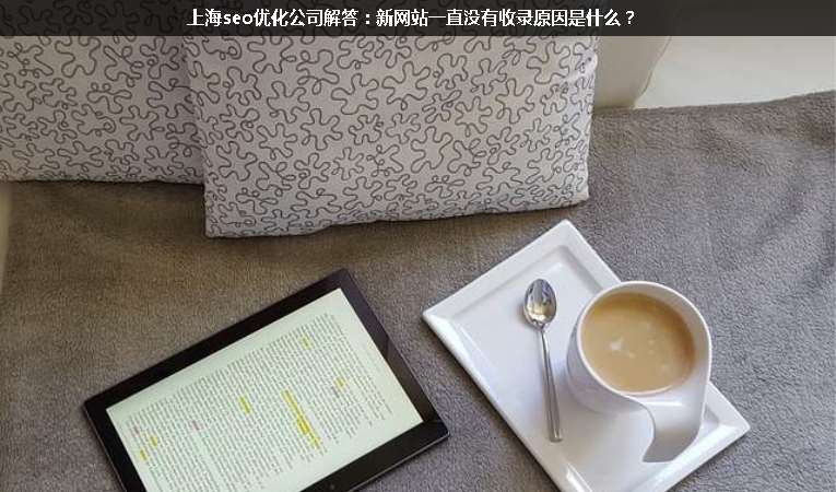 上海seo優(yōu)化公司解答：新網(wǎng)站一直沒有收錄原因是什么？